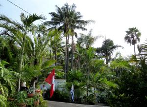 IPS J. Fernandez 16r.jpg
